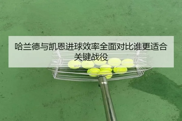 哈兰德与凯恩进球效率全面对比谁更适合关键战役